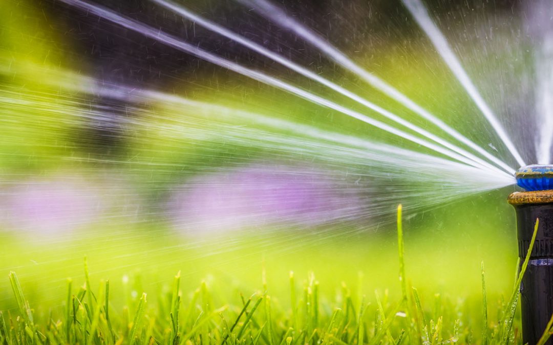 Summer Plumbing Problems Sprinkler