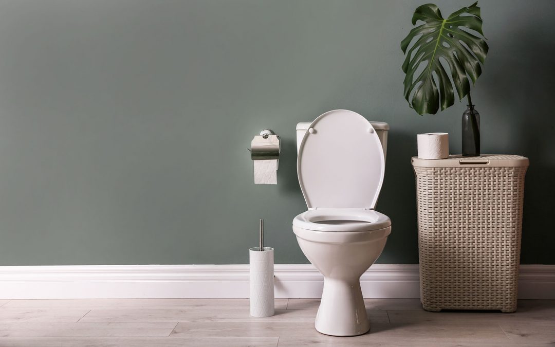 Replace Your Toilet: A Guide of Options