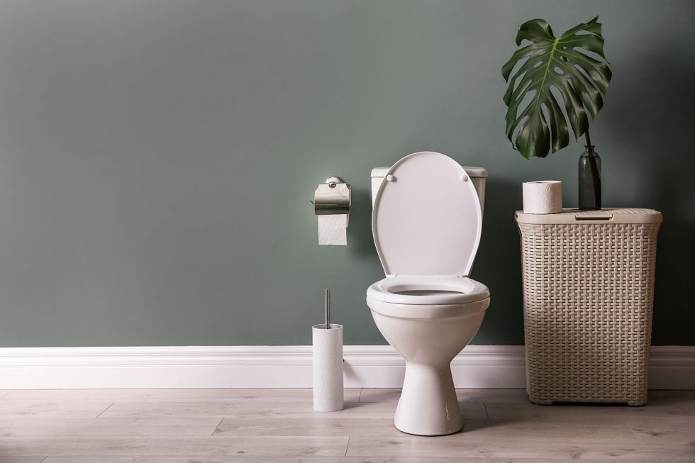 Replace Your Toilet A Guide of Options Killeen Plumbing