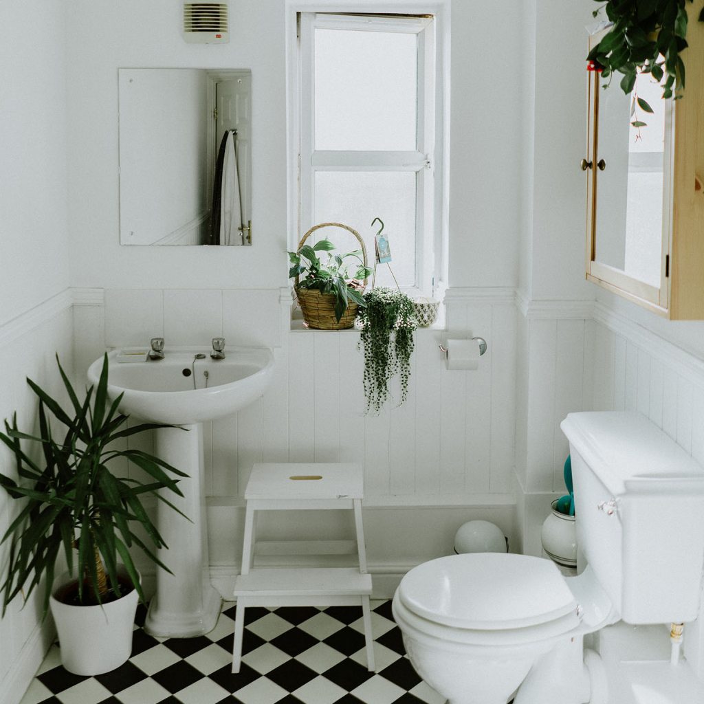 Small Bathroom with Greenery